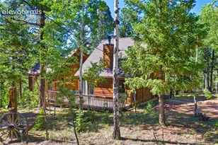 886 Cottonwood Lake Dr, Divide, CO 80814 - Photo 2
