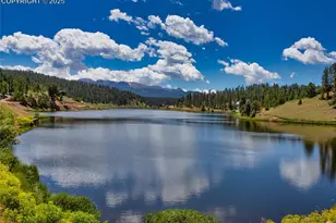 356 Spring Valley Dr, Divide, CO 80814 - Photo 48