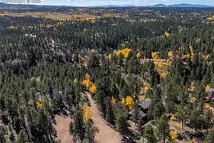 356 Spring Valley Dr, Divide, CO 80814 - Photo 46