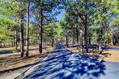 16111 Roller Coaster Road, Colorado Springs, CO 80921 - Photo 26