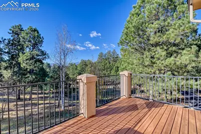 16111 Roller Coaster Road, Colorado Springs, CO 80921 - Photo 24