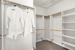 4550 Captain Jack Ln, Colorado Springs, CO 80924 - Photo 34