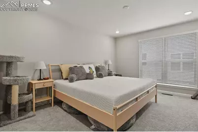 3439 Berg Point, Colorado Springs, CO 80907 - Photo 16