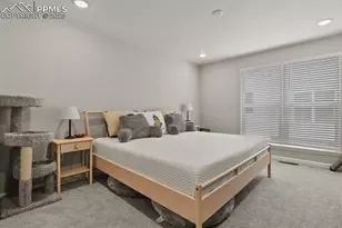 3439 Berg Pt, Colorado Springs, CO 80907 - Photo 16