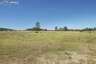 1106 Hull Ave, Westcliffe, CO 81252 - Photo 26