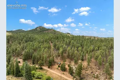 3919 County Road 33, Sedalia, CO 80135 - Photo 6