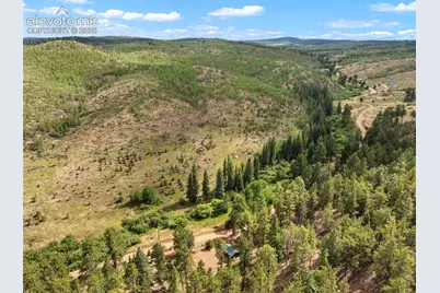 3919 County Road 33, Sedalia, CO 80135 - Photo 10