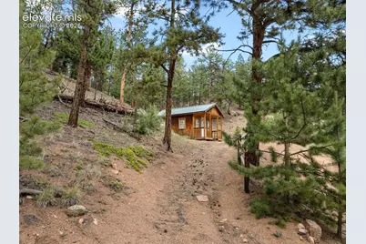 3919 County Road 33, Sedalia, CO 80135 - Photo 12