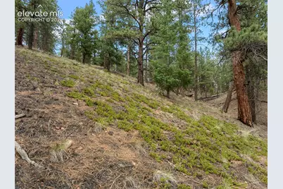 3919 County Road 33, Sedalia, CO 80135 - Photo 18