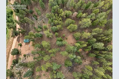 3919 County Road 33, Sedalia, CO 80135 - Photo 14