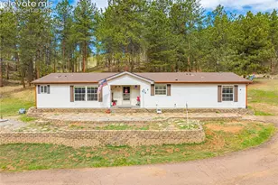 275 Mohave Creek Trail, Florissant, CO 80816 - Photo 32