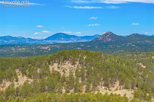 275 Mohave Creek Trail, Florissant, CO 80816 - Photo 30