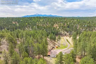 275 Mohave Creek Trail, Florissant, CO 80816 - Photo 28