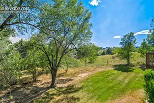 2046 Palm Dr, Colorado Springs, CO 80918 - Photo 48