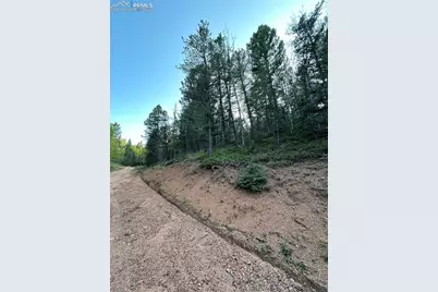 83 Sodalite Road, Divide, CO 80814 - Photo 2