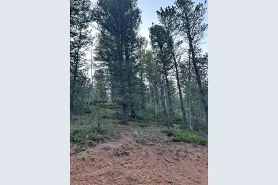 83 Sodalite Road, Divide, CO 80814 - Photo 1