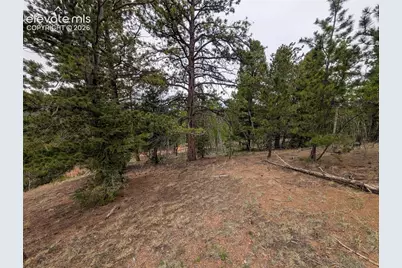 16 Princess Lane, Cripple Creek, CO 80813 - Photo 20