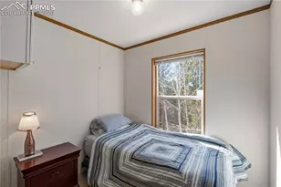 509 John Dr, Divide, CO 80814 - Photo 6