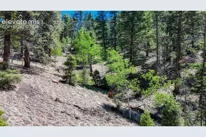 3454 N Mountain Estates Road, Florissant, CO 80816 - Photo 6