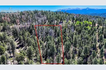 3454 N Mountain Estates Road, Florissant, CO 80816 - Photo 2