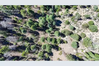 3454 N Mountain Estates Road, Florissant, CO 80816 - Photo 16