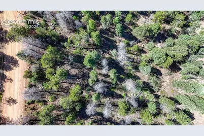3454 N Mountain Estates Road, Florissant, CO 80816 - Photo 4