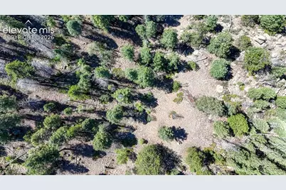 3454 N Mountain Estates Road, Florissant, CO 80816 - Photo 14