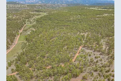 4250 Doe Valley Road, Guffey, CO 80820 - Photo 6
