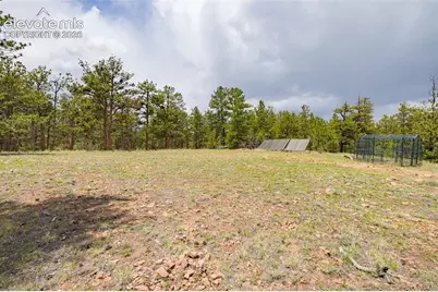 4250 Doe Valley Road, Guffey, CO 80820 - Photo 16