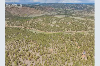 4250 Doe Valley Road, Guffey, CO 80820 - Photo 10