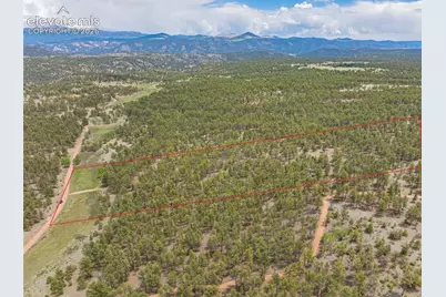 4250 Doe Valley Road, Guffey, CO 80820 - Photo 34