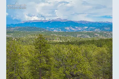4250 Doe Valley Road, Guffey, CO 80820 - Photo 14