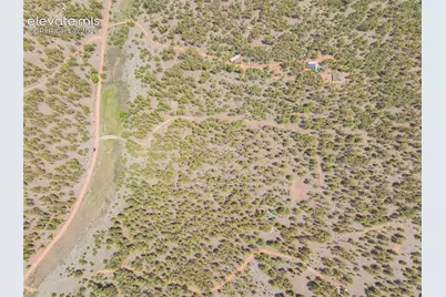 4250 Doe Valley Road, Guffey, CO 80820 - Photo 12