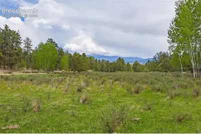 4250 Doe Valley Road, Guffey, CO 80820 - Photo 1