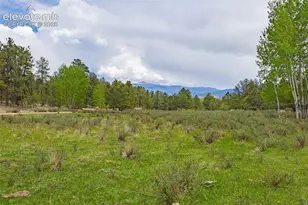 4250 Doe Valley Rd, Guffey, CO 80820 - Photo 1