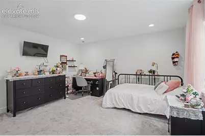 9234 Gallery Place, Colorado Springs, CO 80924 - Photo 30