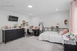 9234 Gallery Pl, Colorado Springs, CO 80924 - Photo 30