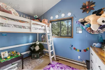1231 W Midland Avenue, Woodland Park, CO 80863 - Photo 26
