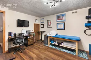 1231 W Midland Ave, Woodland Park, CO 80863 - Photo 34