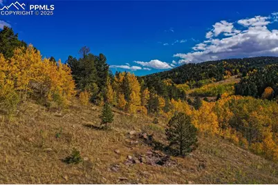 230 Penrose Circle, Cripple Creek, CO 80813 - Photo 22