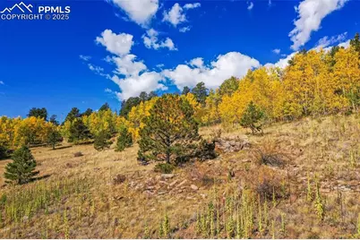 230 Penrose Circle, Cripple Creek, CO 80813 - Photo 34