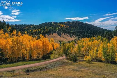 230 Penrose Circle, Cripple Creek, CO 80813 - Photo 18