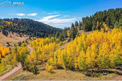 230 Penrose Circle, Cripple Creek, CO 80813 - Photo 46