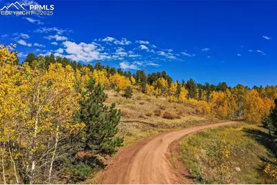 230 Penrose Circle, Cripple Creek, CO 80813 - Photo 50