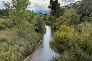 4121 Tree Crk Trl, Colorado Springs, CO 80918 - Photo 40