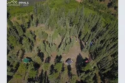 10223 Trail Creek Road, Florissant, CO 80816 - Photo 12