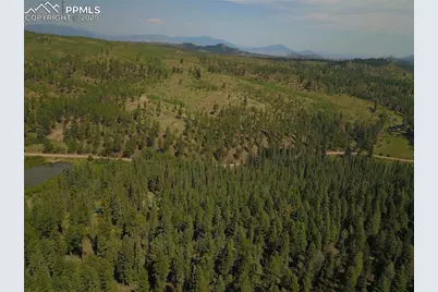 10223 Trail Creek Road, Florissant, CO 80816 - Photo 10