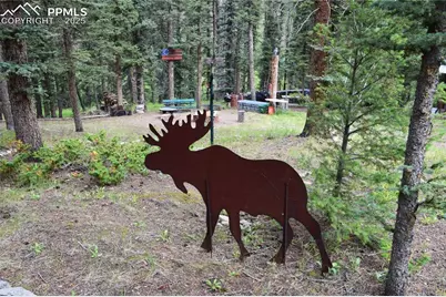 10223 Trail Creek Road, Florissant, CO 80816 - Photo 34