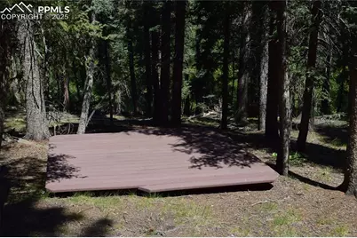 10223 Trail Creek Road, Florissant, CO 80816 - Photo 36