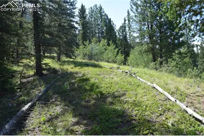 10223 Trail Creek Road, Florissant, CO 80816 - Photo 40